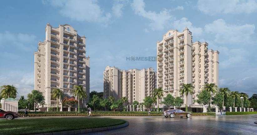 Oro Elements Cover Image